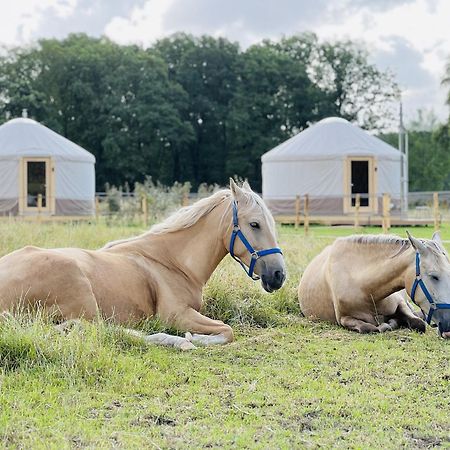 Magnolia Hoeve - Unieke Bestemming Voor Paardenliefhebbers En Bijzondere Overnachtingen In De Natuur Ledeacker Экстерьер фото