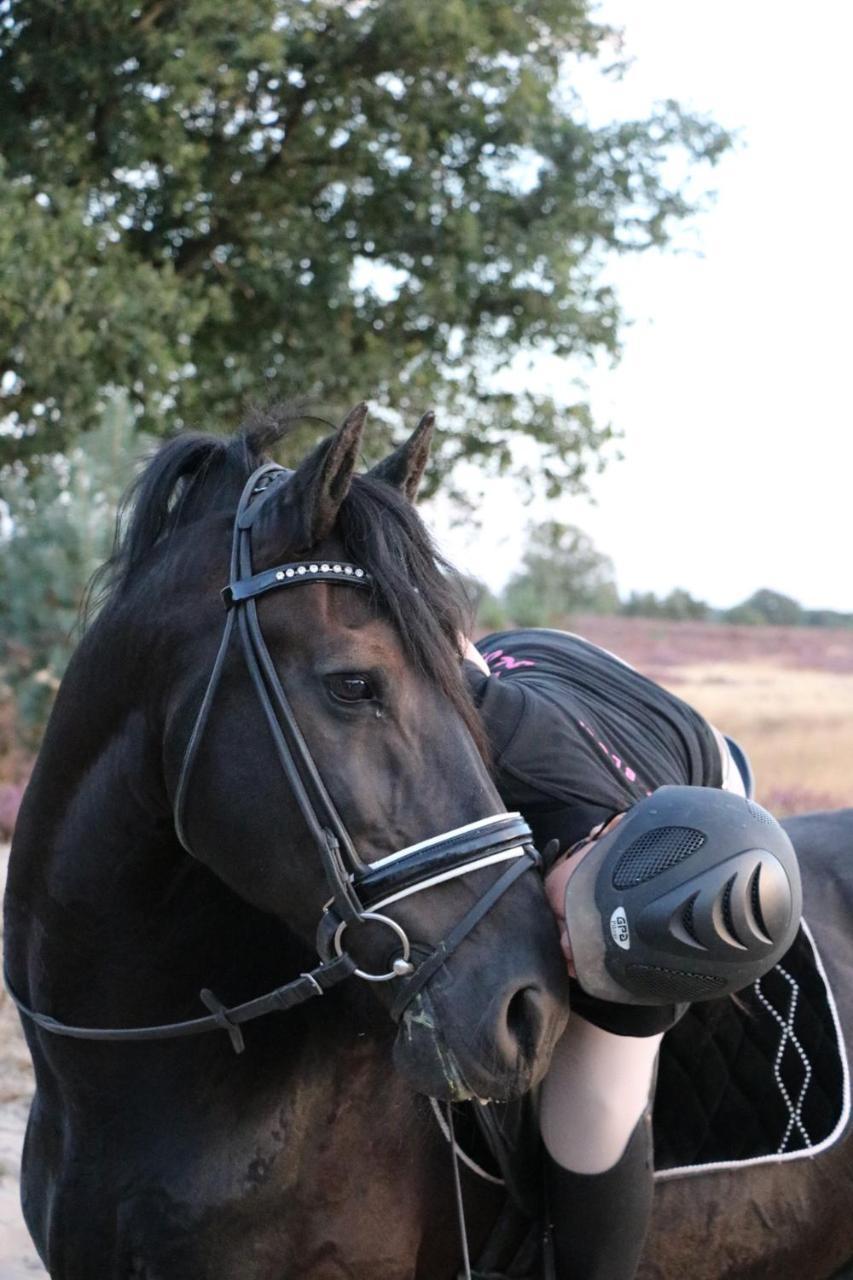 Magnolia Hoeve - Unieke Bestemming Voor Paardenliefhebbers En Bijzondere Overnachtingen In De Natuur Ledeacker Экстерьер фото