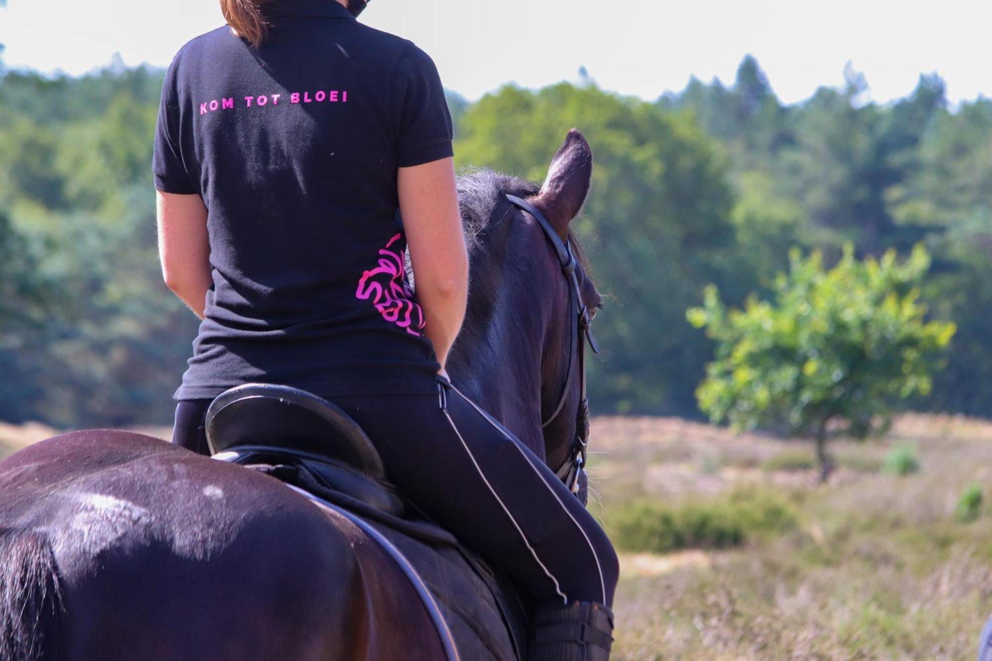 Magnolia Hoeve - Unieke Bestemming Voor Paardenliefhebbers En Bijzondere Overnachtingen In De Natuur Ledeacker Экстерьер фото