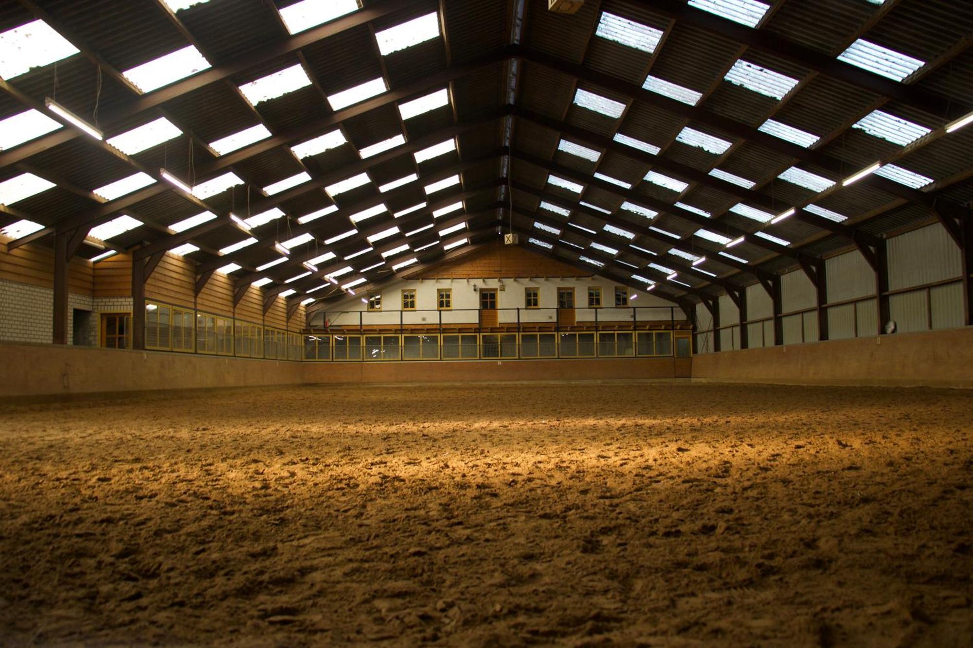 Magnolia Hoeve - Unieke Bestemming Voor Paardenliefhebbers En Bijzondere Overnachtingen In De Natuur Ledeacker Экстерьер фото