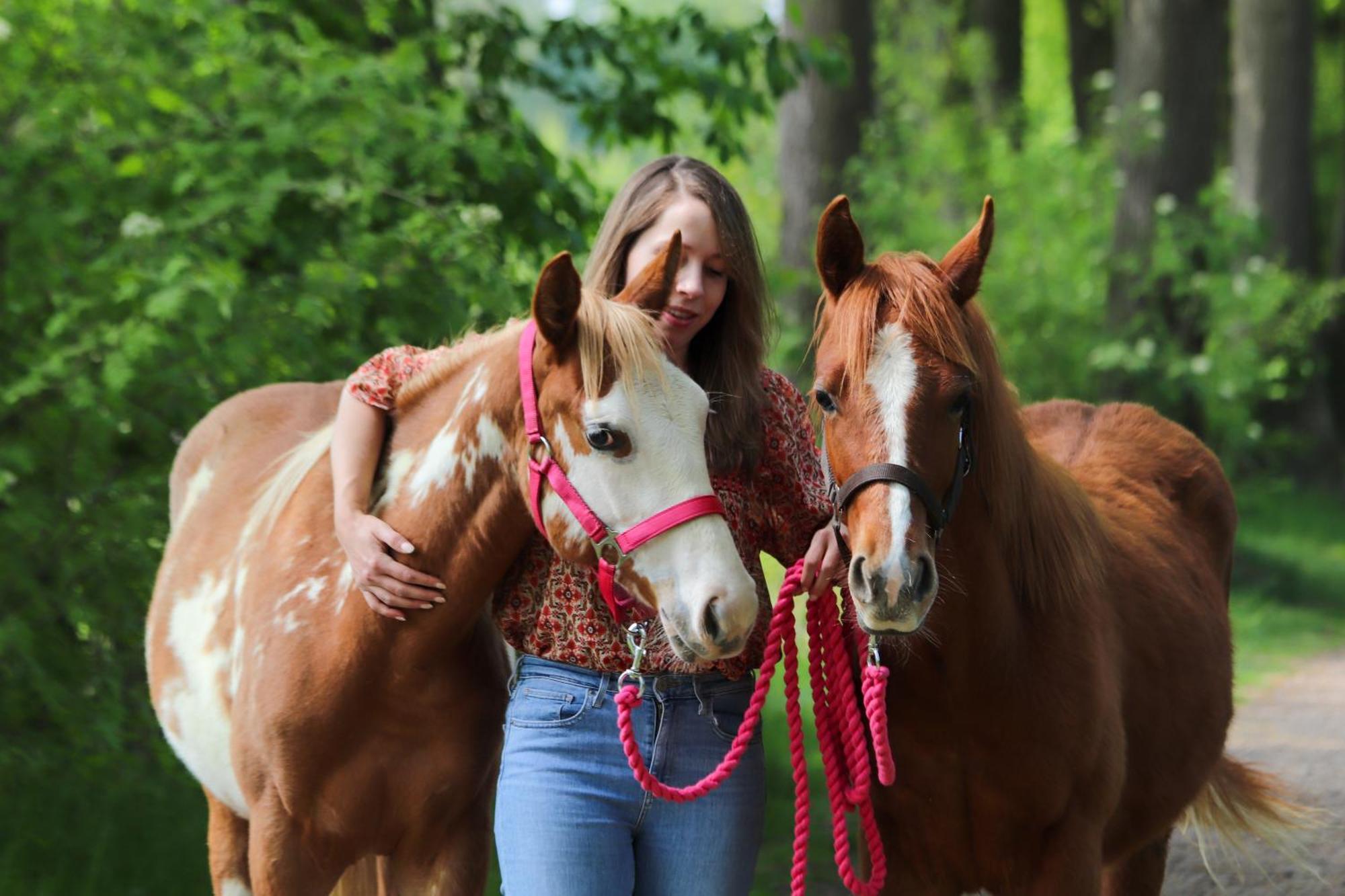 Magnolia Hoeve - Unieke Bestemming Voor Paardenliefhebbers En Bijzondere Overnachtingen In De Natuur Ledeacker Экстерьер фото