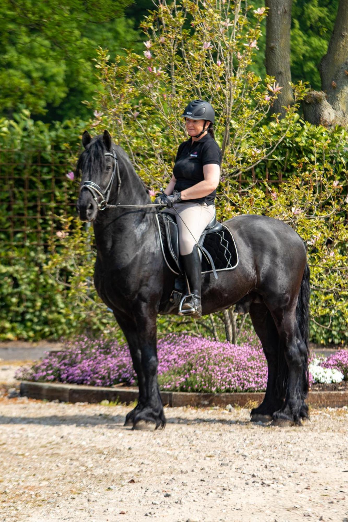 Magnolia Hoeve - Unieke Bestemming Voor Paardenliefhebbers En Bijzondere Overnachtingen In De Natuur Ledeacker Экстерьер фото