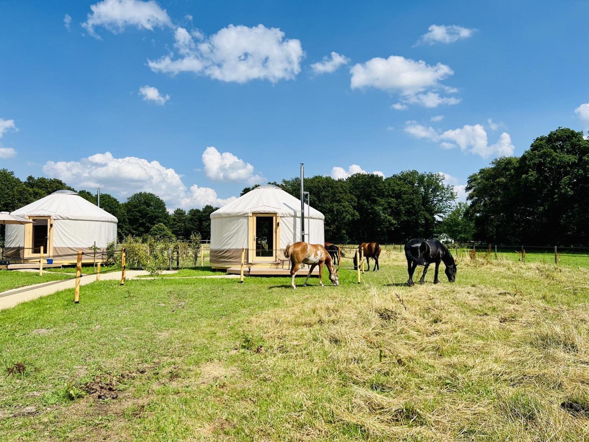 Magnolia Hoeve - Unieke Bestemming Voor Paardenliefhebbers En Bijzondere Overnachtingen In De Natuur Ledeacker Экстерьер фото
