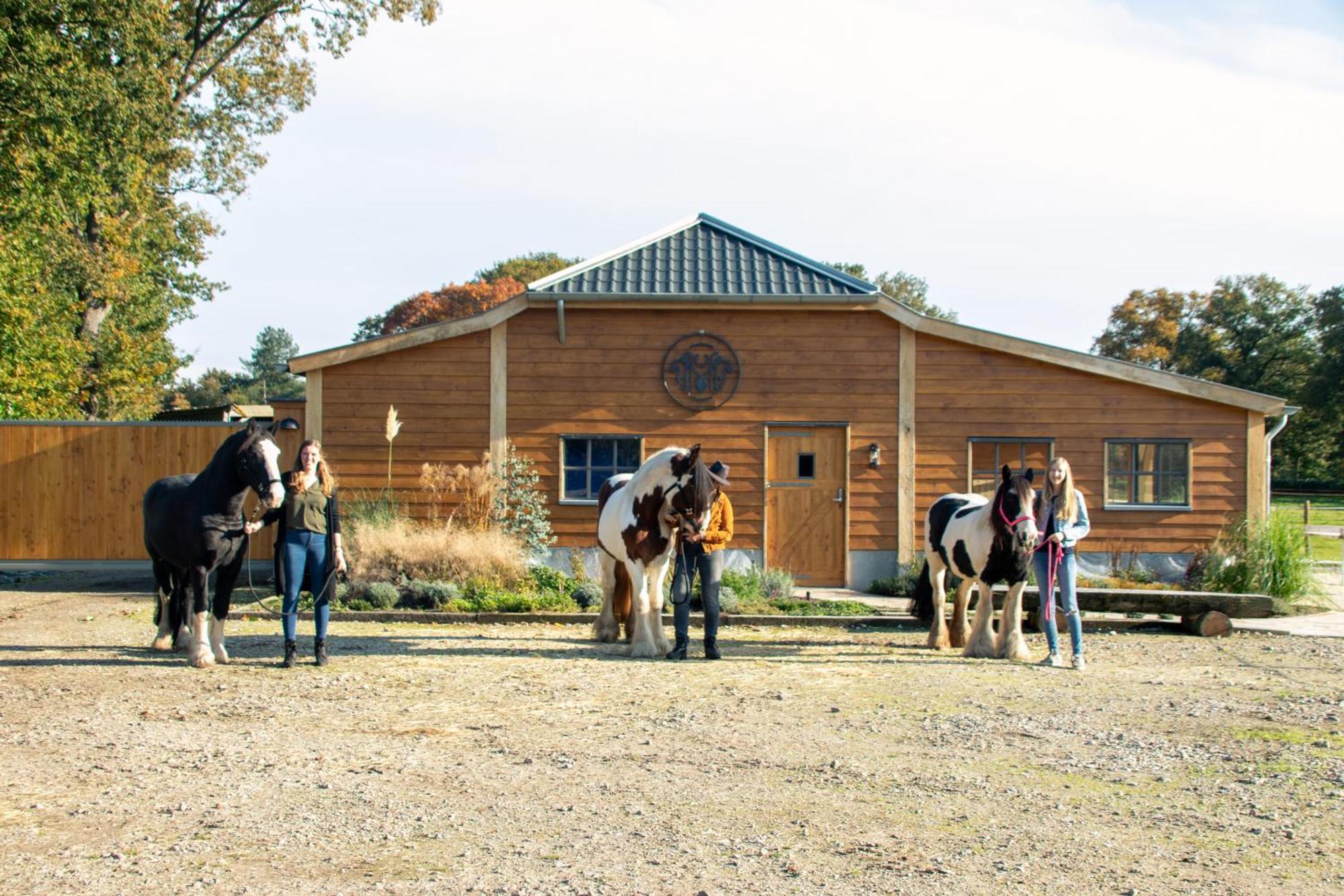 Magnolia Hoeve - Unieke Bestemming Voor Paardenliefhebbers En Bijzondere Overnachtingen In De Natuur Ledeacker Экстерьер фото
