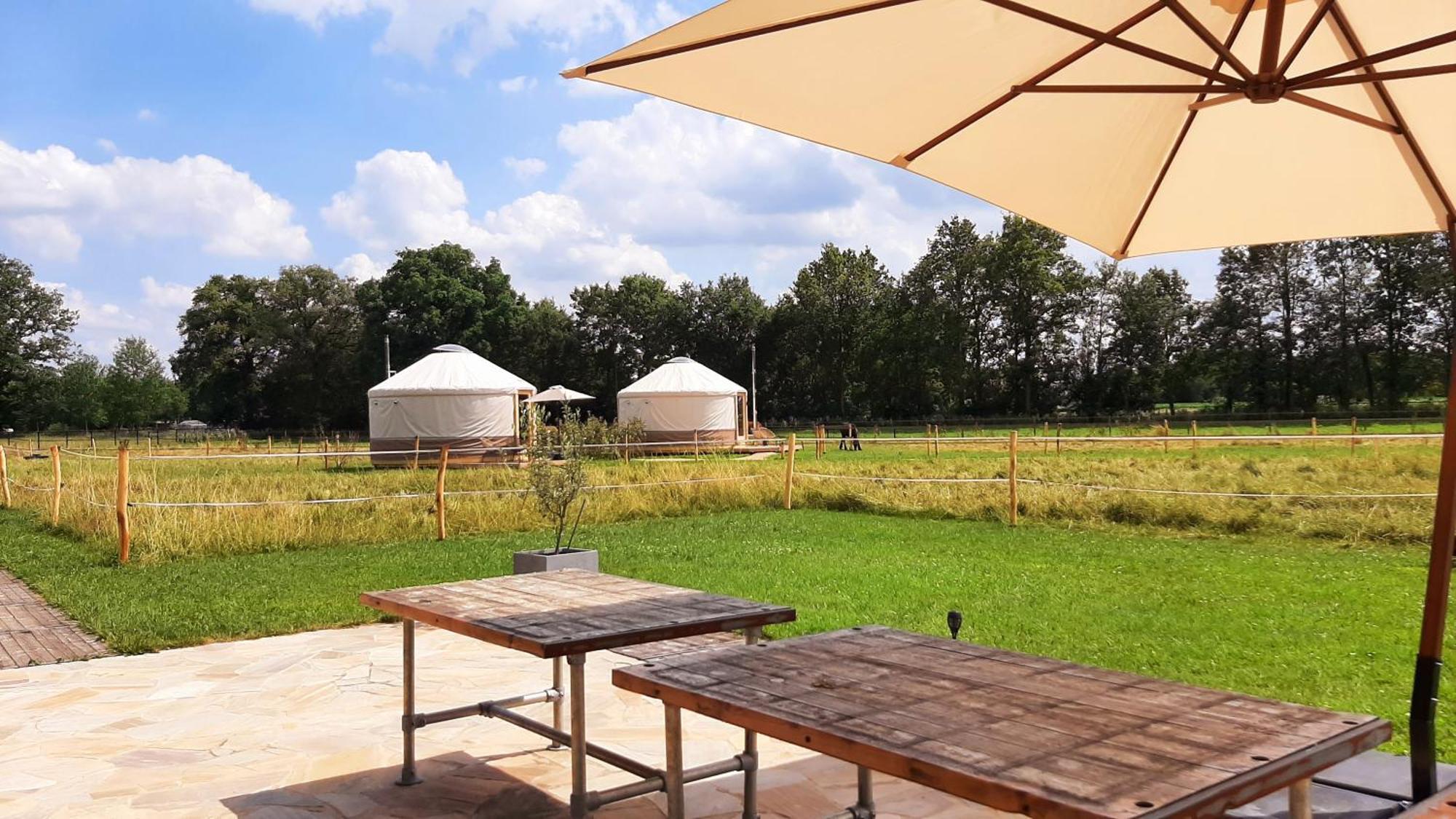 Magnolia Hoeve - Unieke Bestemming Voor Paardenliefhebbers En Bijzondere Overnachtingen In De Natuur Ledeacker Экстерьер фото