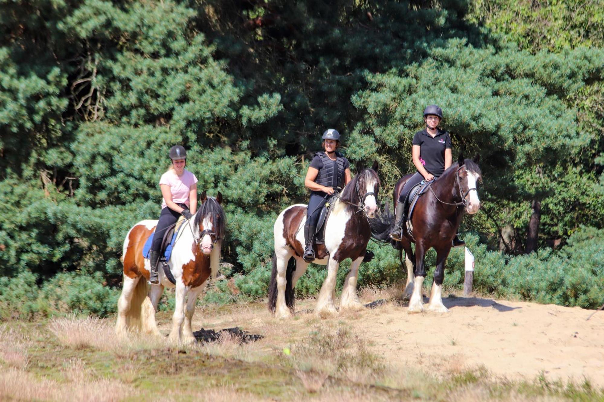Magnolia Hoeve - Unieke Bestemming Voor Paardenliefhebbers En Bijzondere Overnachtingen In De Natuur Ledeacker Экстерьер фото