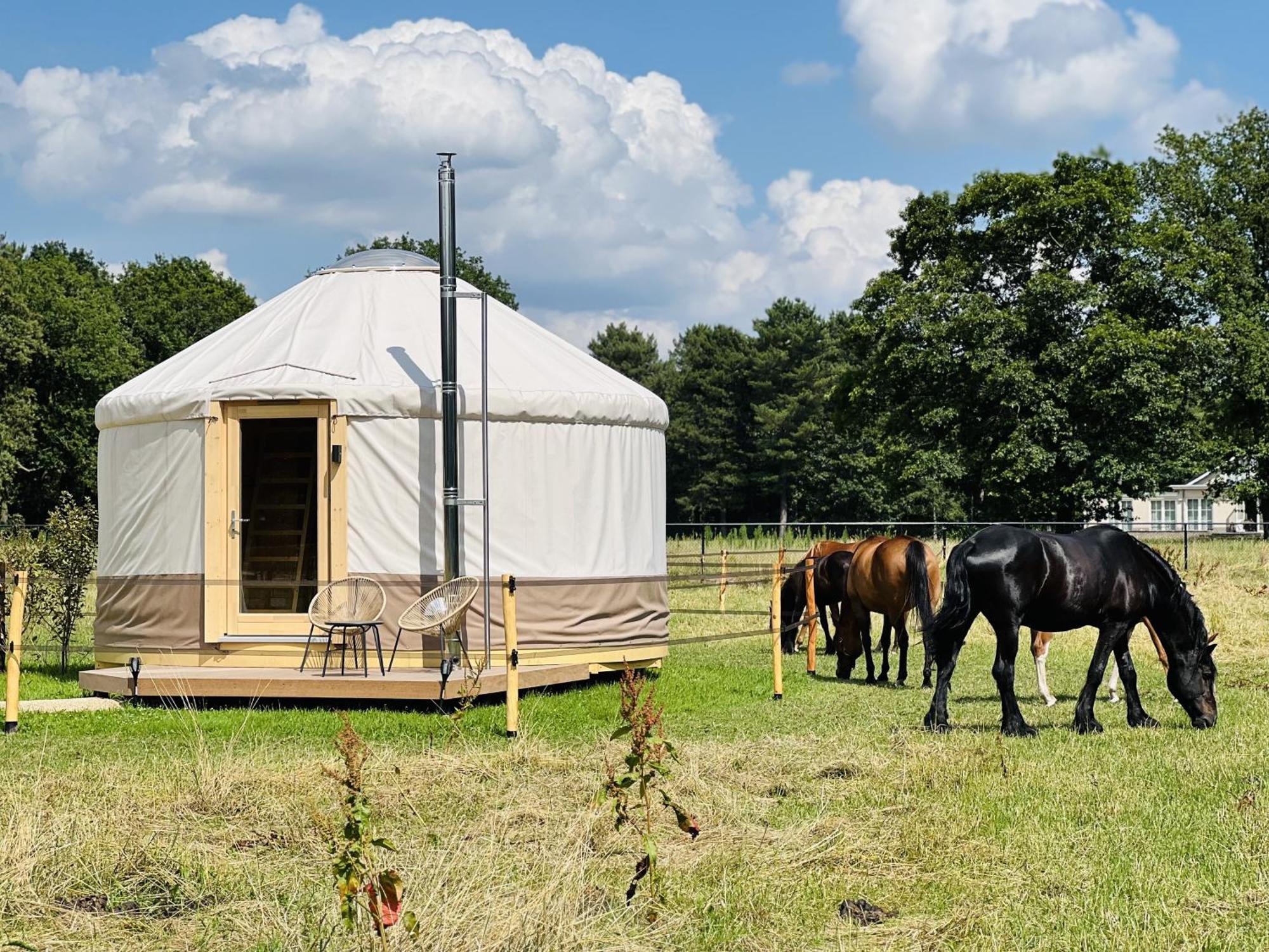 Magnolia Hoeve - Unieke Bestemming Voor Paardenliefhebbers En Bijzondere Overnachtingen In De Natuur Ledeacker Экстерьер фото