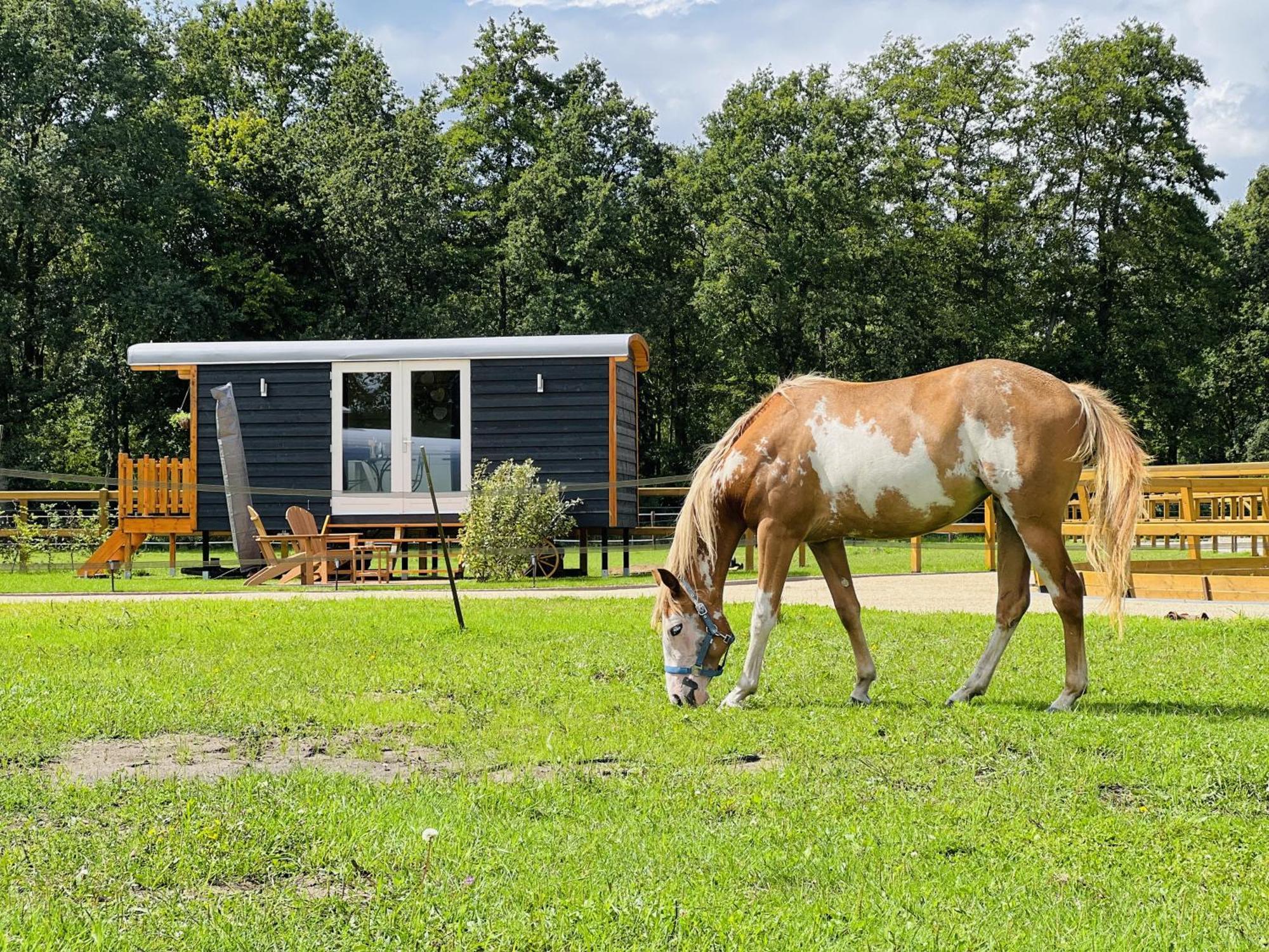 Magnolia Hoeve - Unieke Bestemming Voor Paardenliefhebbers En Bijzondere Overnachtingen In De Natuur Ledeacker Экстерьер фото